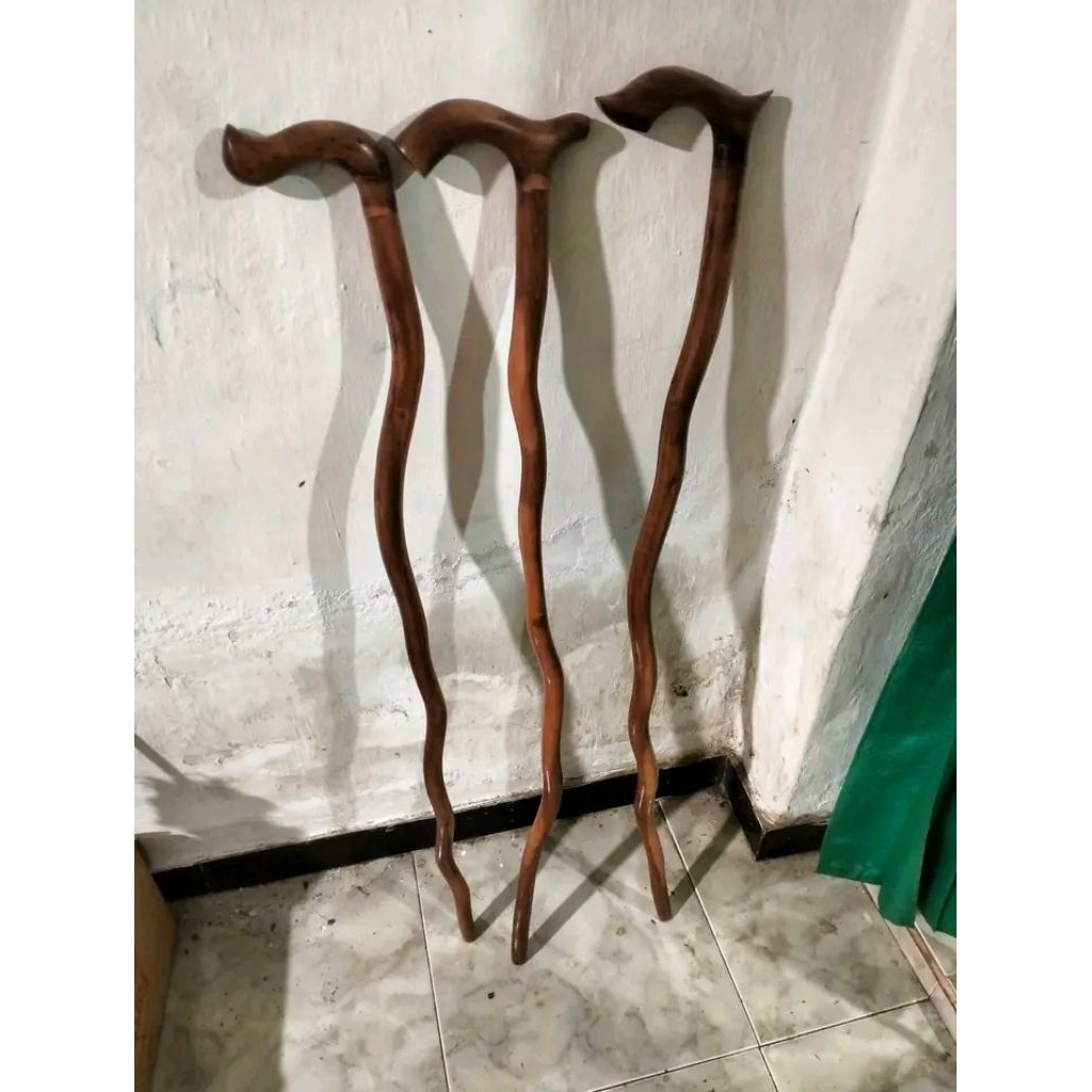 tongkat jalan kayu setigi laut asli