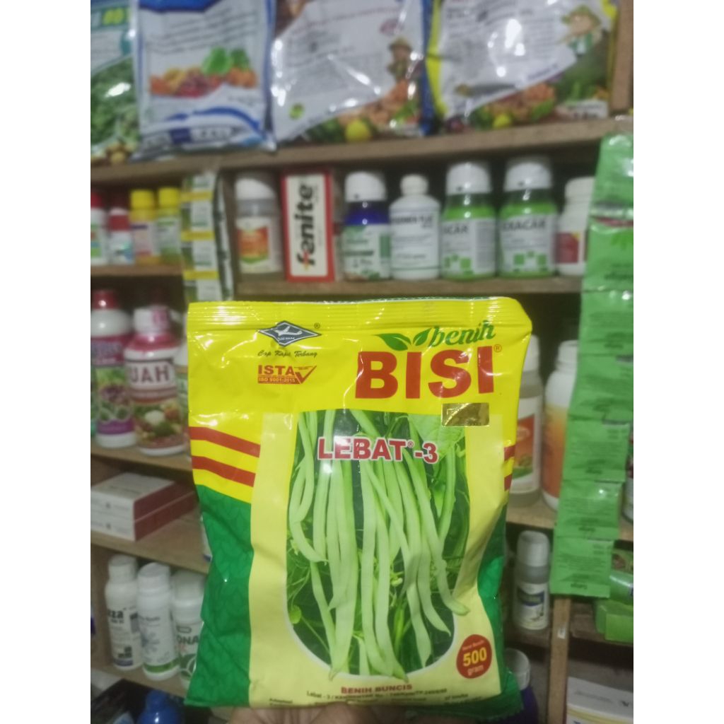 Benih buncis LEBAT -3 500 gram ( buncis lalap )