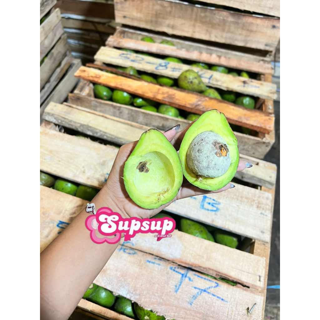 [ INSTAN BOJONEGORO ] BUAH ALPUKAT MEDAN 2KG