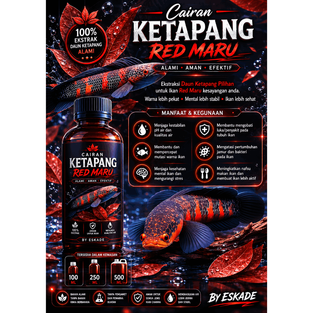 CAIRAN CHANNA RED MARU - KETAPANG MARU RED BABY