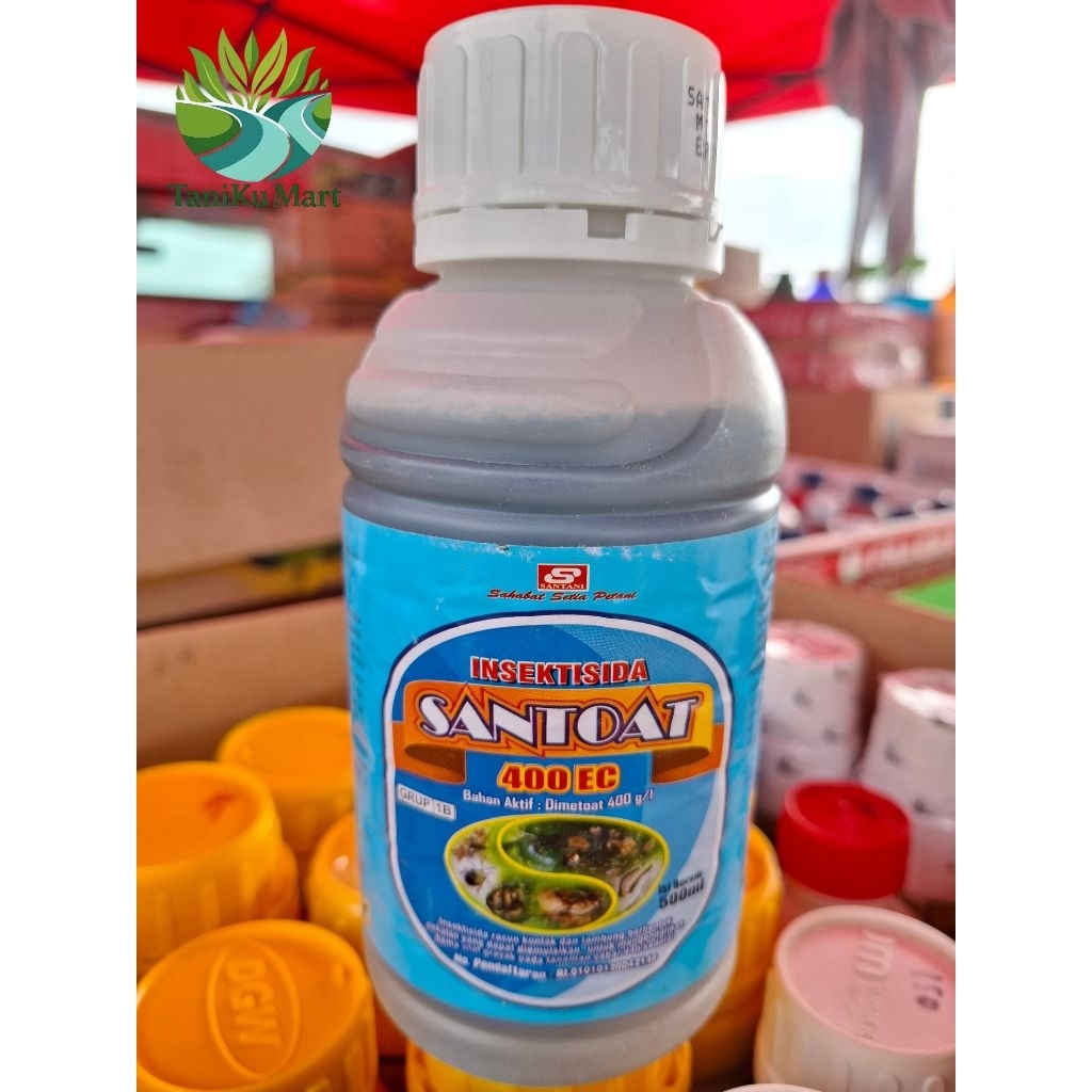 INSEKTISIDA SANTOAT 400EC | RACUN SEPERTI DARMASAN BASMI WALANG SANGIT