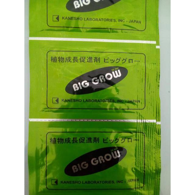Pupuk ZPT Big Grow Forte 20WP 5gr - Pembesar buah dan Memacu Pertumbuhan Tanaman dengan Gibberellic 