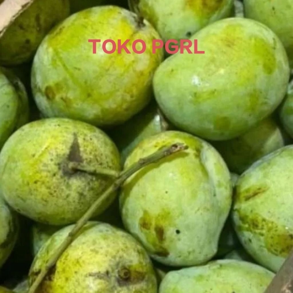 Mangga Indramayu Matang 2Kg