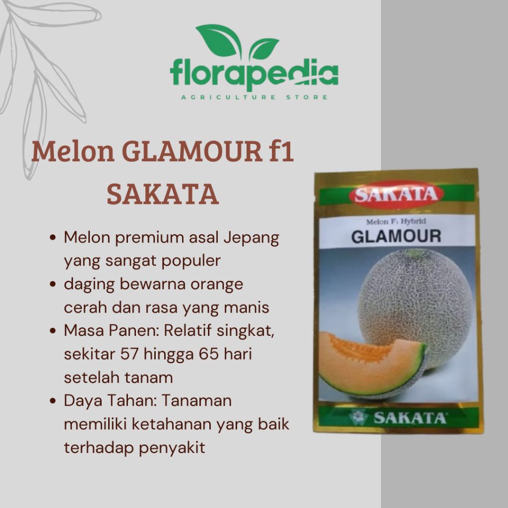 benih melon GLAMOUR  SAKATA bibit melon jepang melon jingga