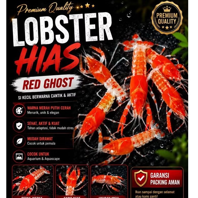 Lobster Hias aquarium Ghost Clarky pembersih Aquascape Lobster Red ghost