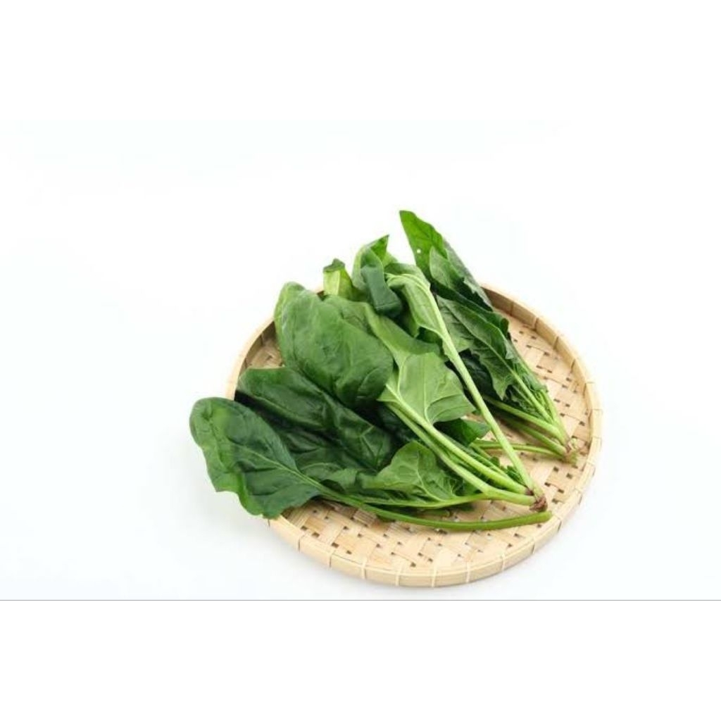 Bayam jepang