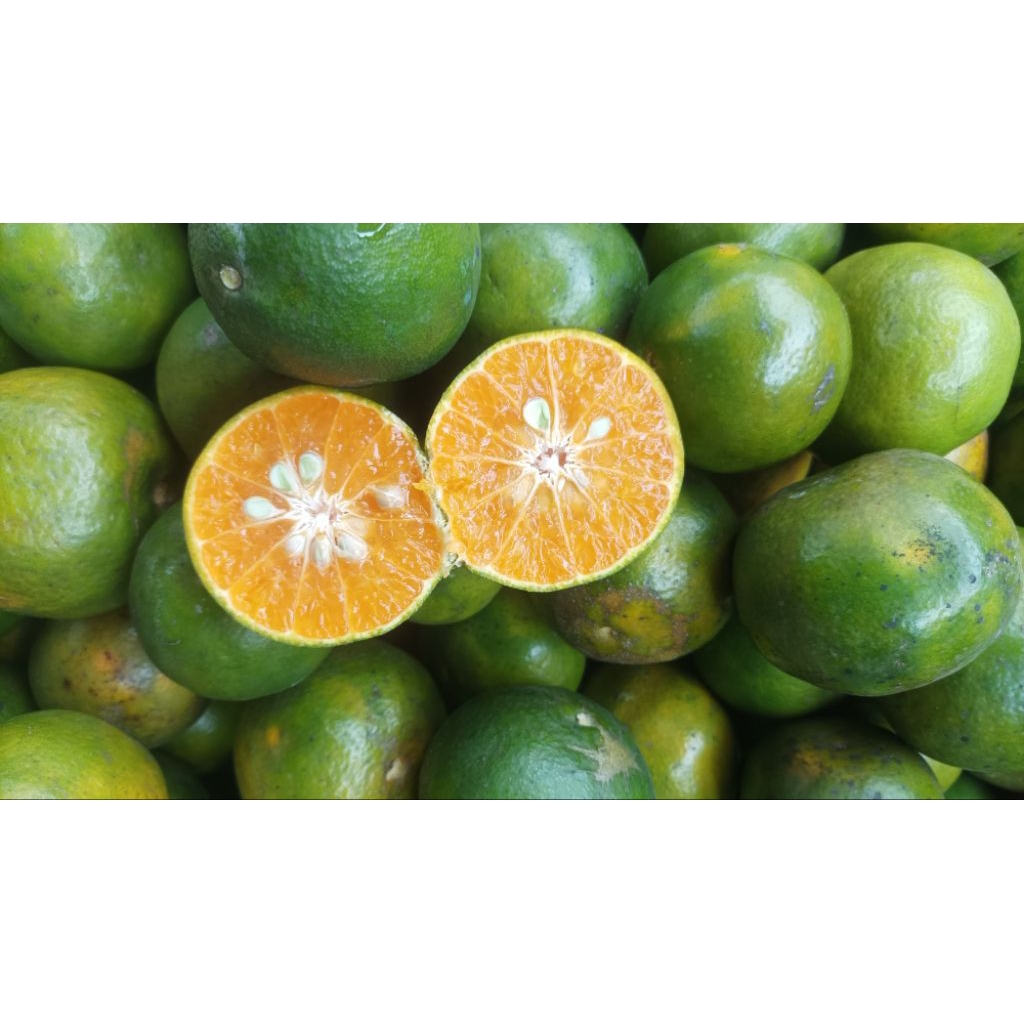 JERUK SIAM MADU MALANG 1 KG