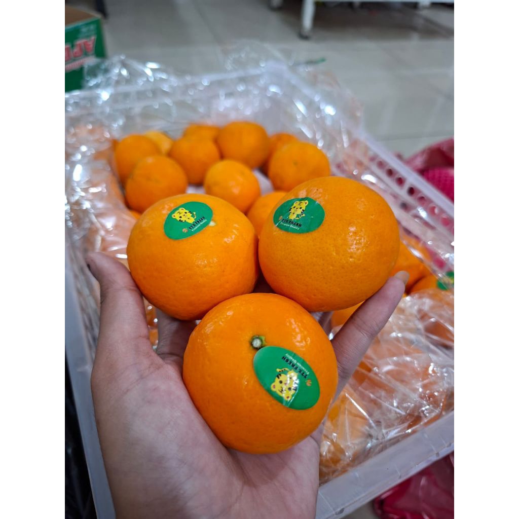 JERUK WOGAN TANGRIN per kilo | jeruk Wogan Daun manis | wogan mandarin