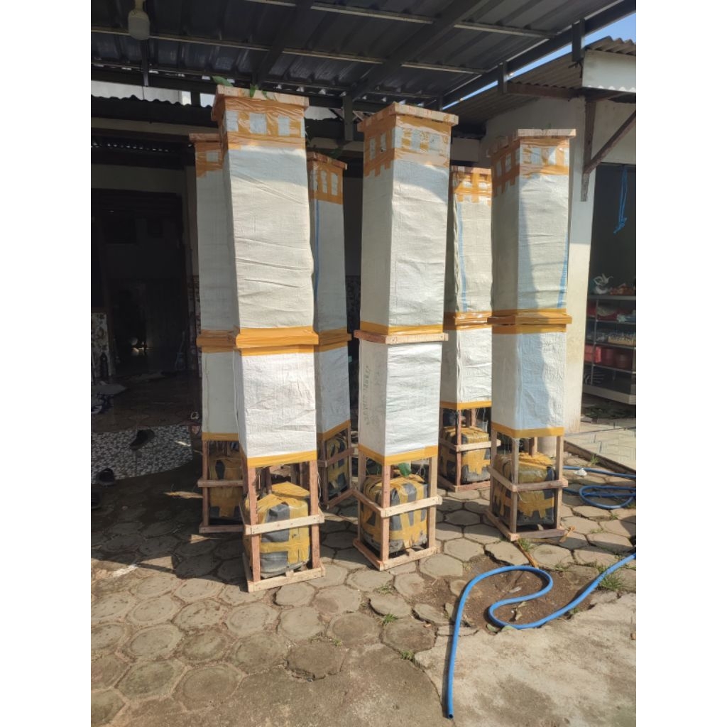 Bibit Alpukat Segala Jenis FULL MEDIA 1,5M - 2M up