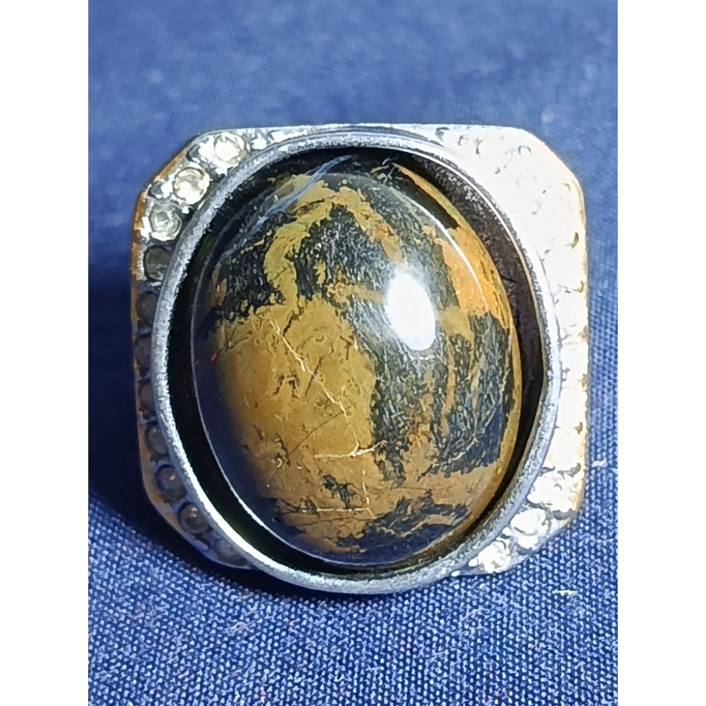 Natural Kelor Petrified Wood, BEAR / Batu Fosil Kayu Kelor, SERAT EMAS, BERUANG