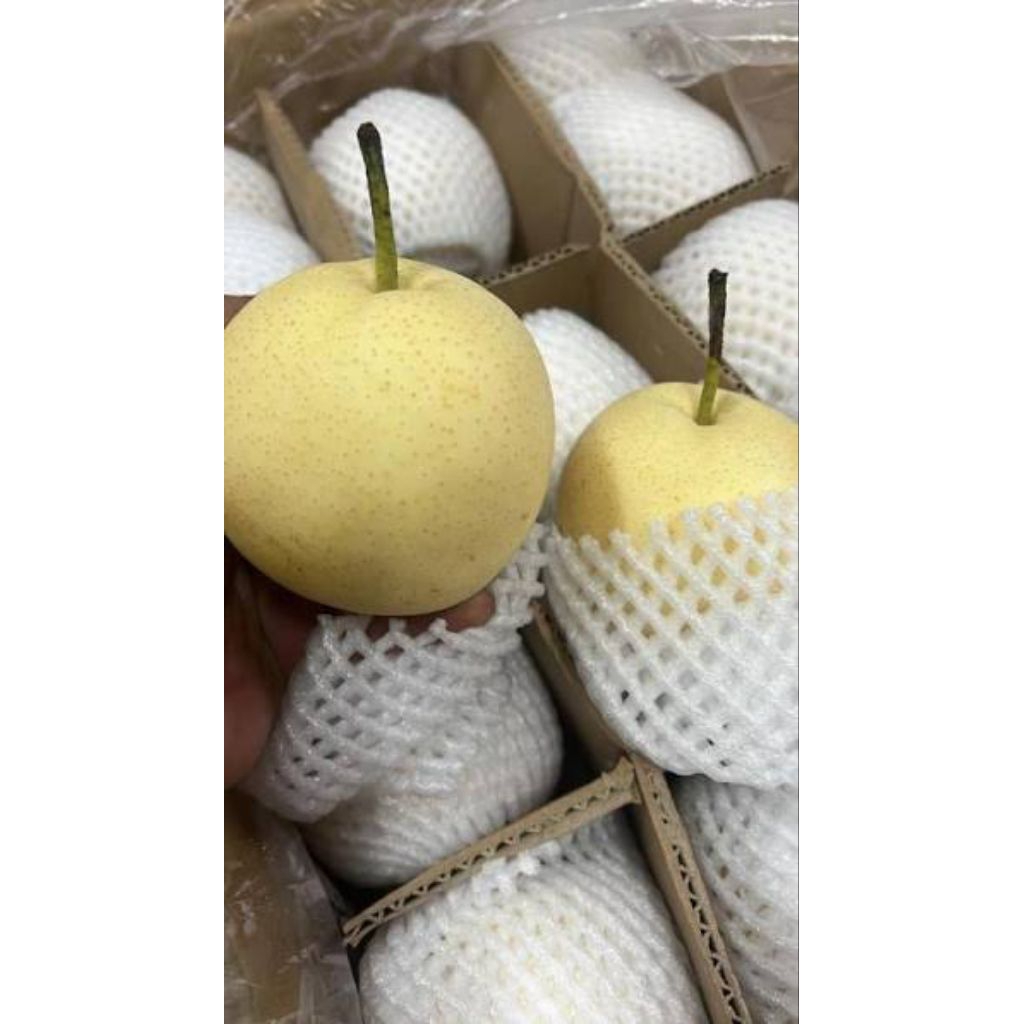 Buah Pear Century