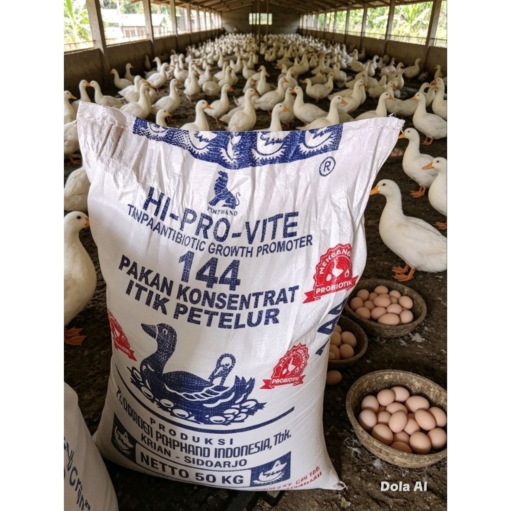 Konsentrat Itik 144 Petelur Pakan Bebek Entok Itik Petelur 15 Kg