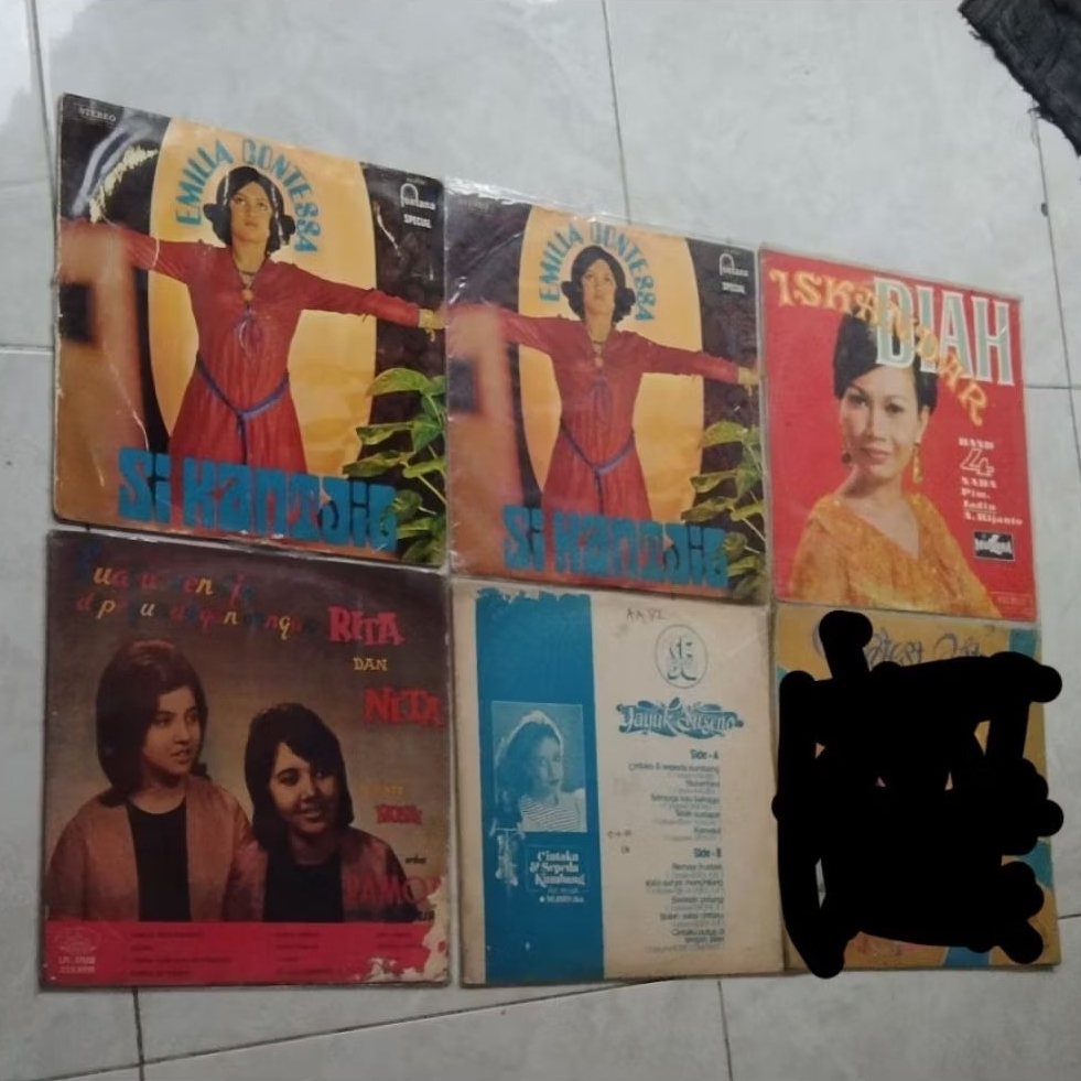Borongan 5 vinyl piringan hitam Indonesia