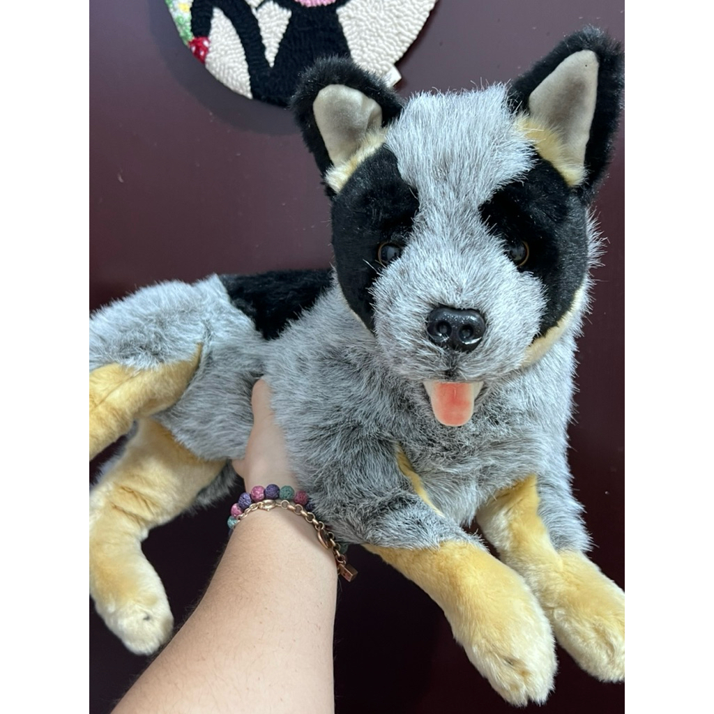 Boneka Anjing Australian Cattle Dog Cutting Brand 50 Cm