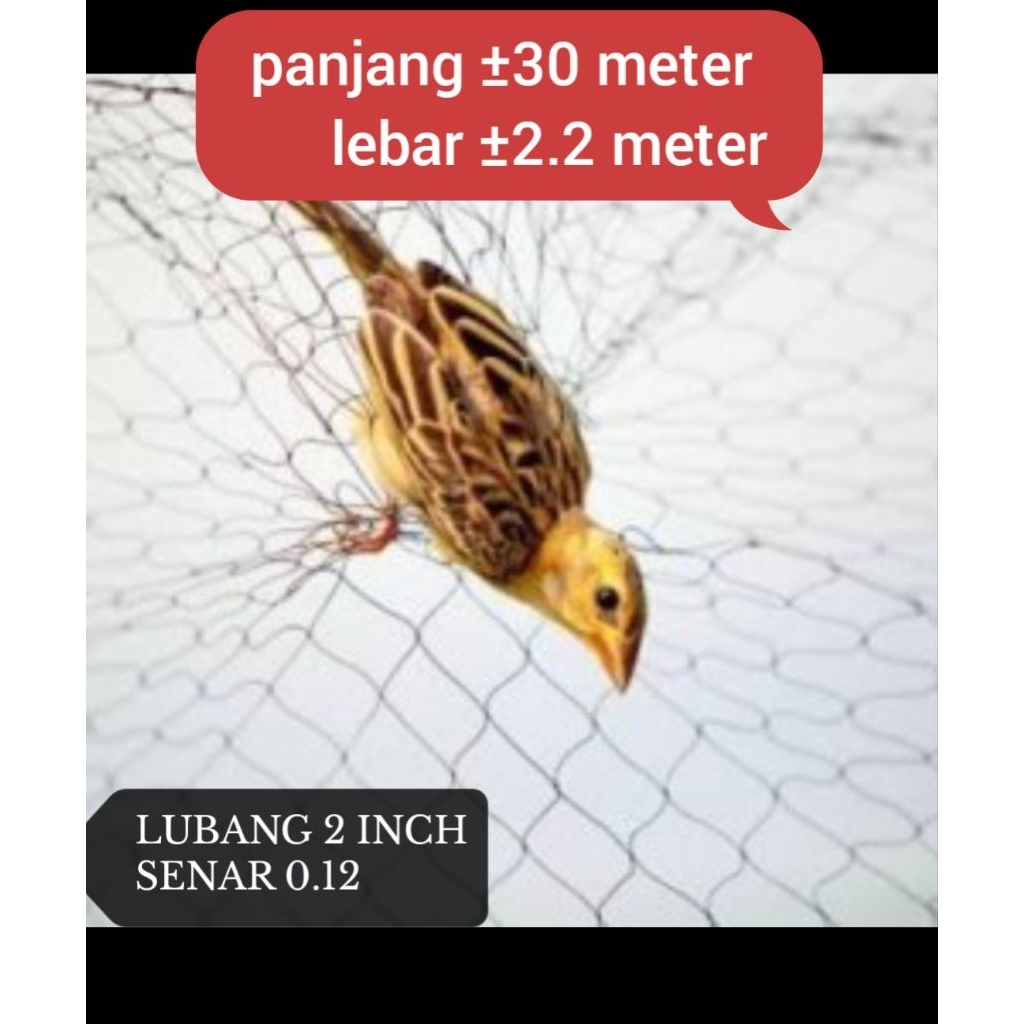 jaring burung kecil jaring lubang 2 jari / 2 inch panjang ±30 meter lebar ±2.2 meter jaring sebar hi