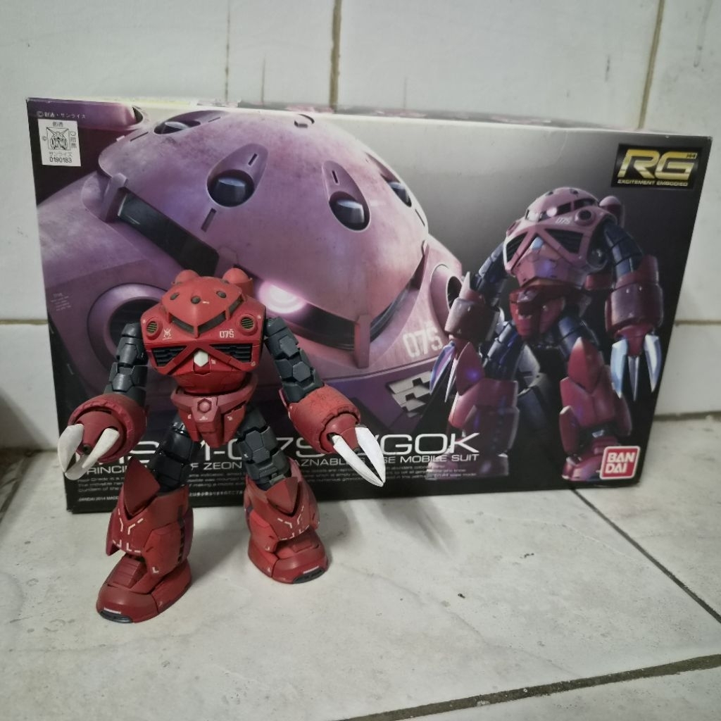 RG ZGOK