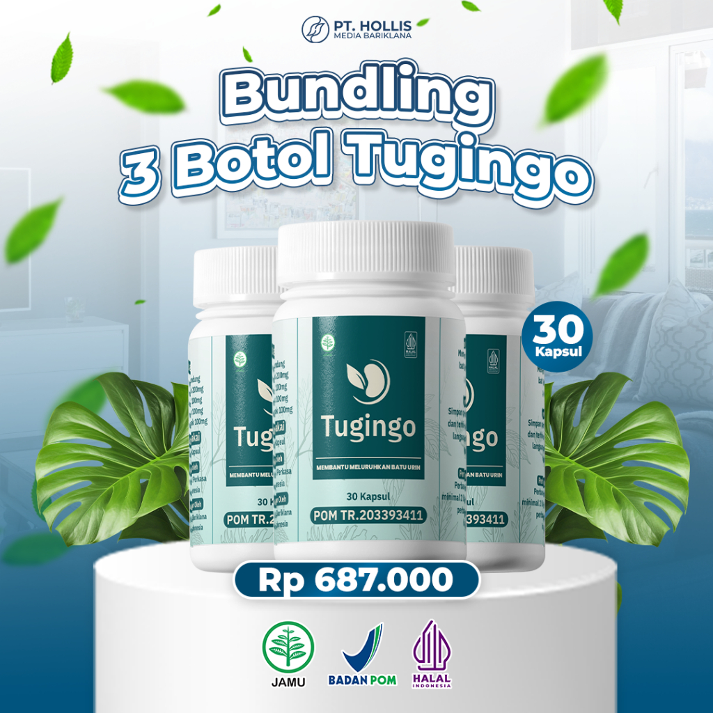 Hollis Tugingo Herbal Batu Ginjal Paket 3 Botol