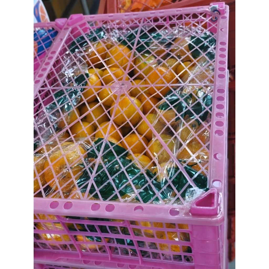 jeruk wogan Mandarin keranjang 6 kg