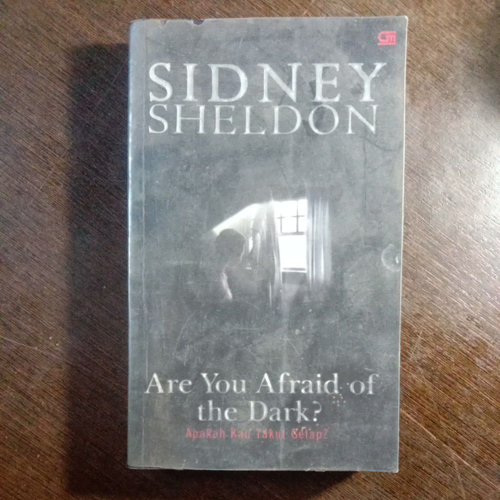 Novel Original Are You Afraid of The Dark?