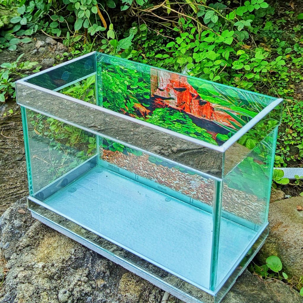 AQUARIUM VARIASI LIS & BEGRON UKURAN 30 X 15 X 20 KACA TEBAL 5 MILI