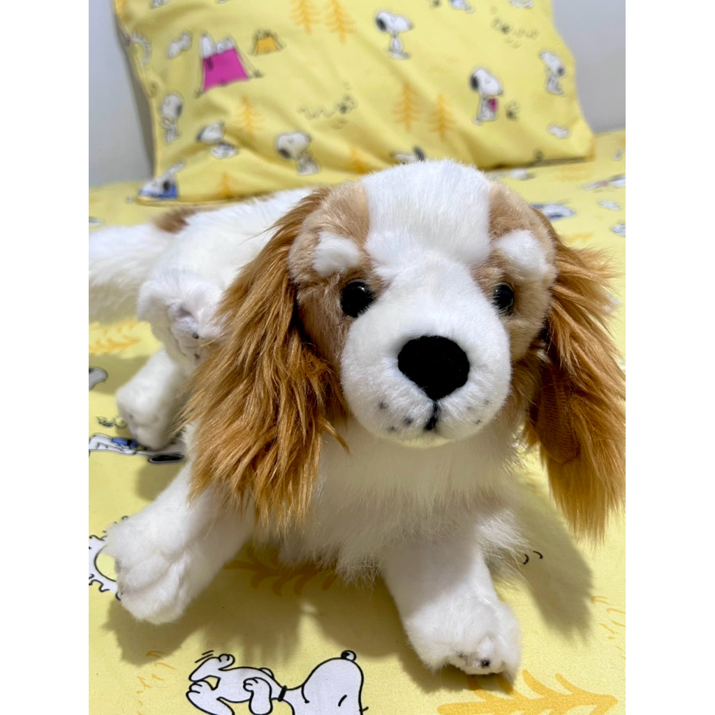 Boneka Anjing Ras Cavalier King Charles Spaniel Posisi  menggaruk Cutting Brand ukuran 30 Cm di CD d
