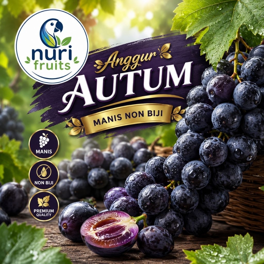 buah anggur|anggur hitam|anggur autum|buah segar|buah segar bandung|nuri fruits|buah bandung