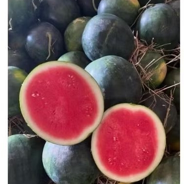SRAGEN BUAH SEMANGKA 1 BUAH