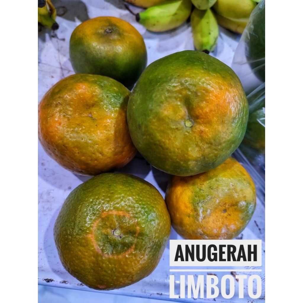 Jeruk Keprok 55 BATU MALANG 3kg