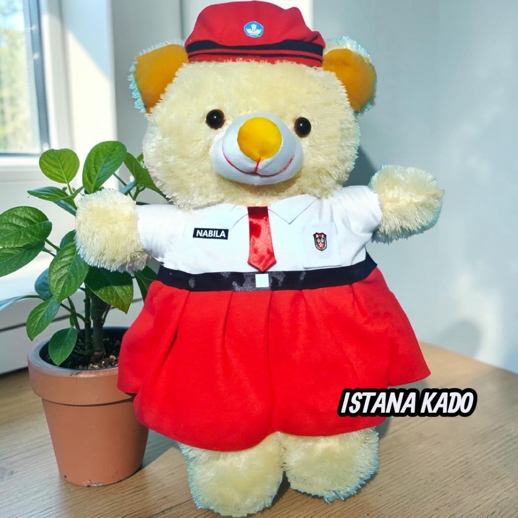 REQUEST boneka beruang SERAGAM SD ukuran 55cm hadiah wisuda anak SD hadiah ulang tahun