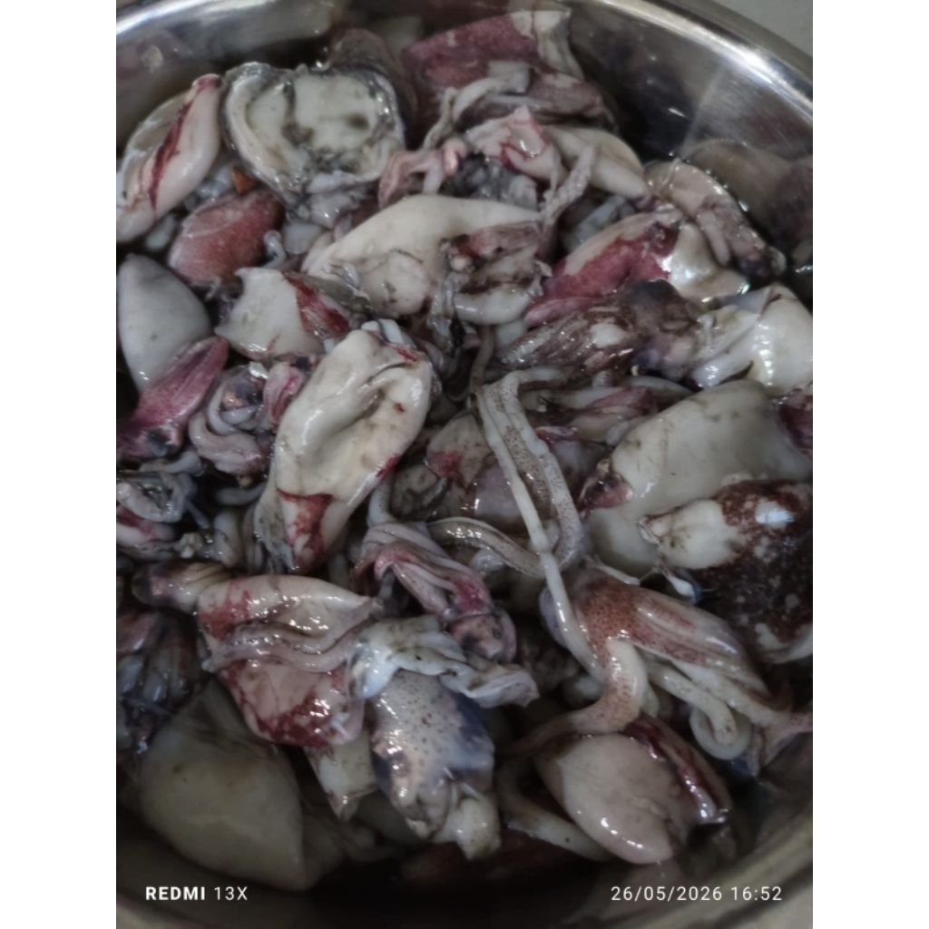 Cumi Tinta Hitam Segar 500gram/ Cumi Hitam Frozen 500gram