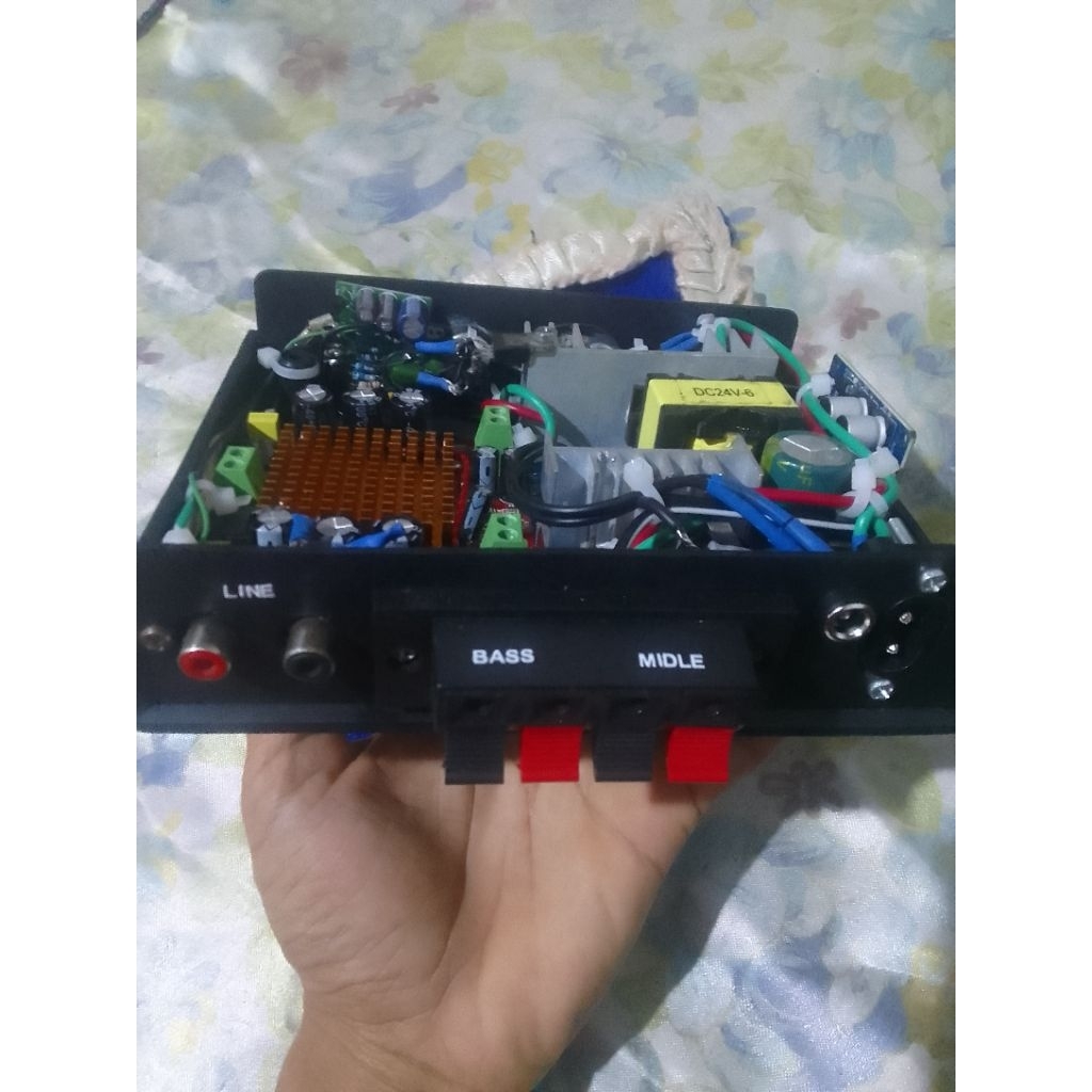 Power Amplifier Class D Btl Subwoofer