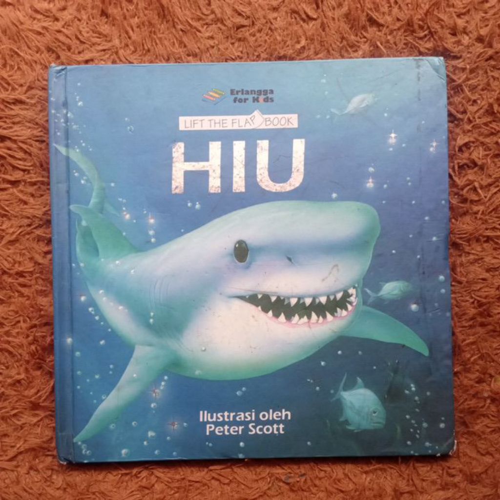 Buku Lift The Flap Book HIU Erlangga For Kids Preloved | Buku HIU