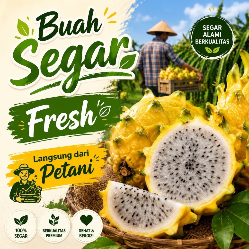 (BANYUWANGI CLURING) BUAH NAGA KUNING KEMASAN -+ 1KG