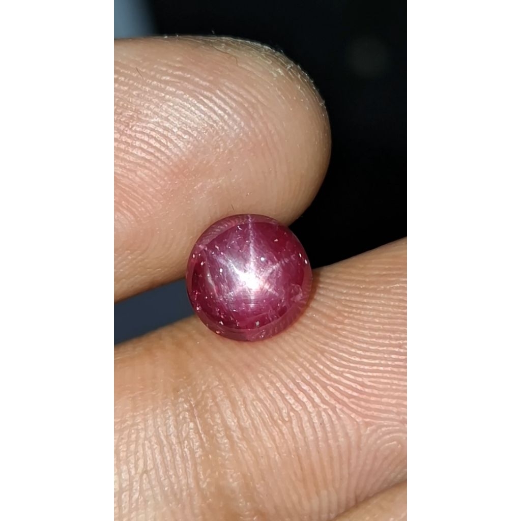 Natural Star Ruby Tanzania 2.38ct Memo CGL No Heat Star Tajam Ruby Asli