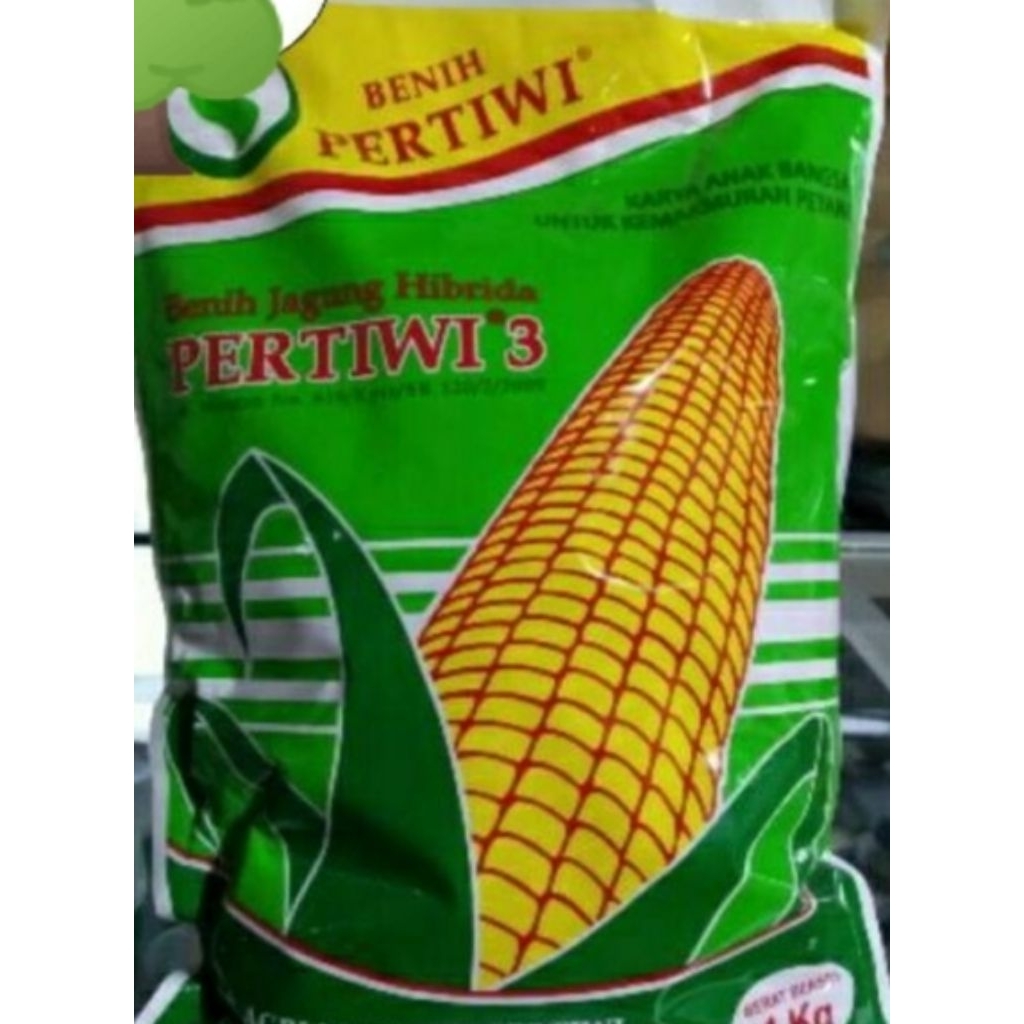 [COD]Benih Jagung Hibrida Pertiwi 3 Kemasan 1Kg/Benih Jagung Pertiwi 3 1kg/Benih Jagung Pertiwi 1 kg
