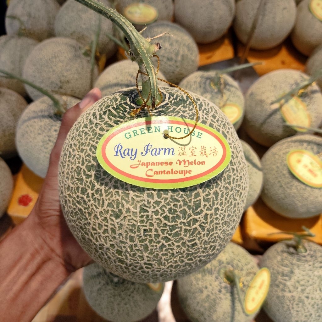 Melon cantaloupe Red Japanese - melon cantaloupe Ray Farm -+1,3kg /pcs utuh
