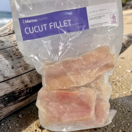 Cucut Fillet / Kakap Fillet Alternatif