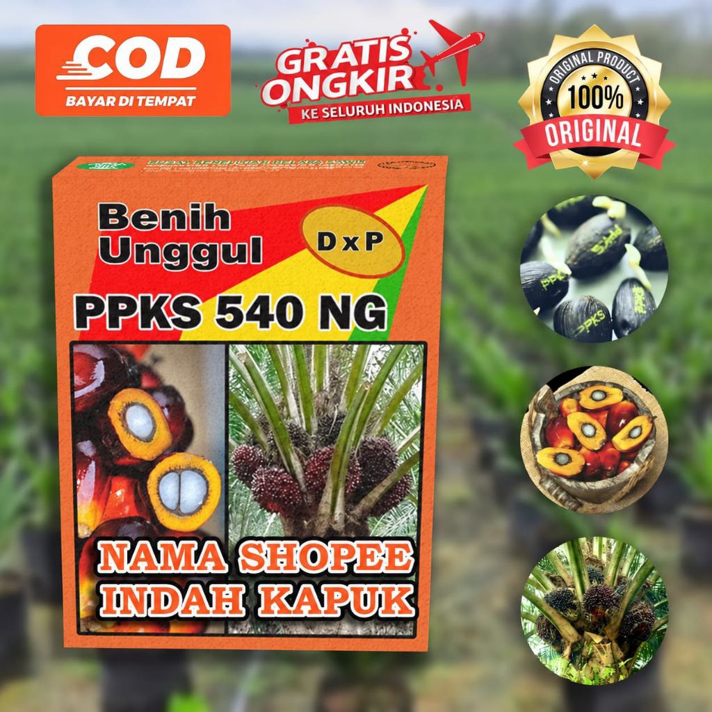PPKS DXP 540 SUPER UNGGULAN BERSERTIFIKAT