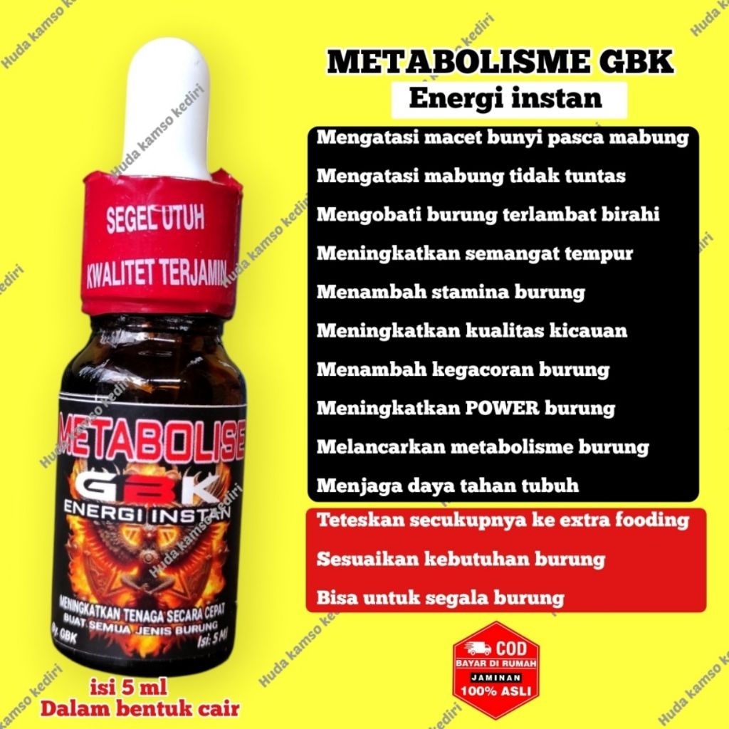 METABOLISME GBK METABOLISME INSTAN ENERGI METABOLISME BURUNG