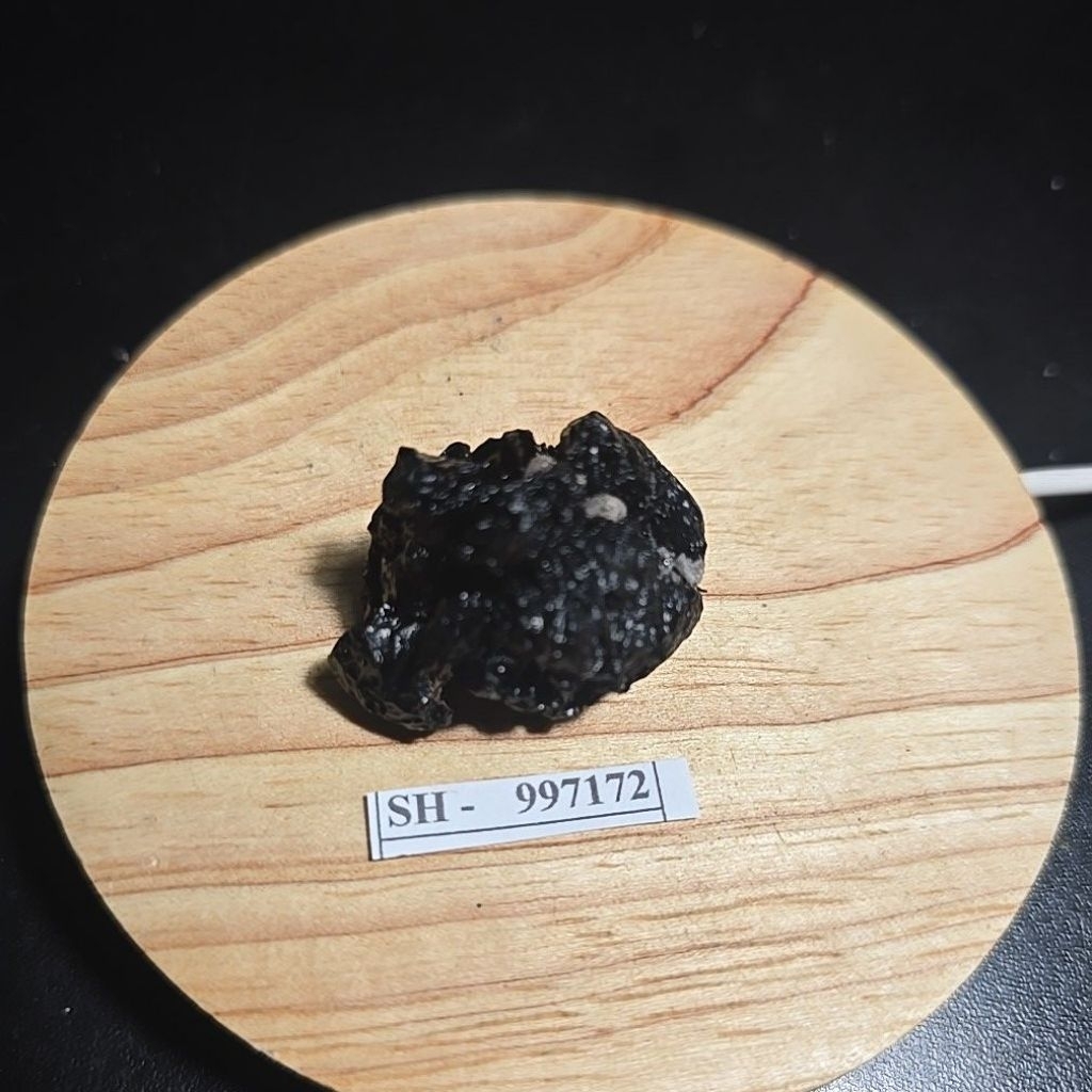 SATAM METEORITE TEKTITE BATU ASLI TANPA MEMO