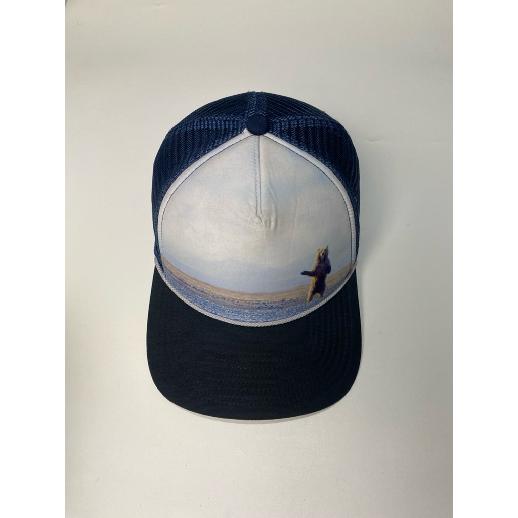 TOPI PATAGONIA BEAR TRUCKER HAT