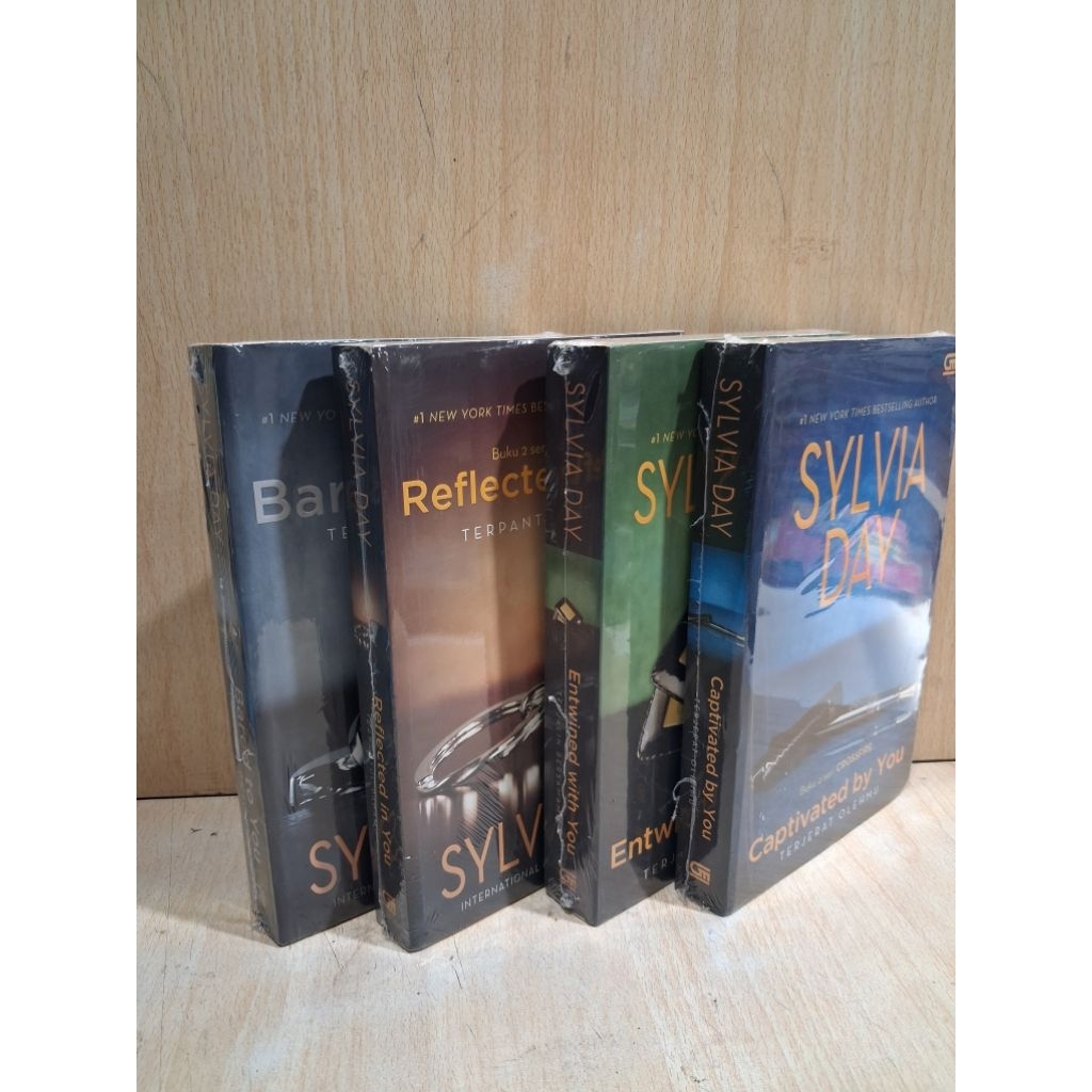 Novel Dewasa Paketan 4 buku (  U21+ .Baru )