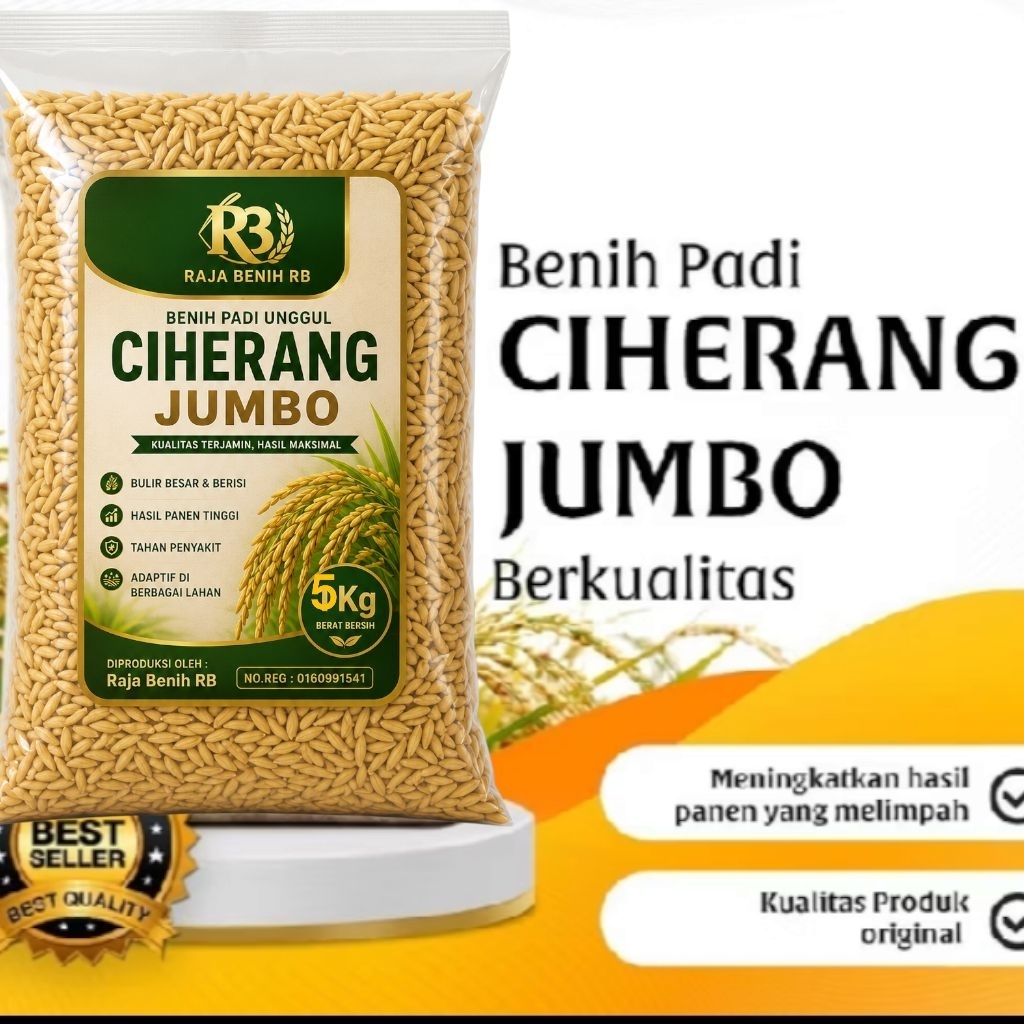 RAJA BENIH 5KG BIBIT PADI CIHERANG JUMBO BERSERTIFIKAT LABEL PUTIH PADI SUPER ORIGINAL