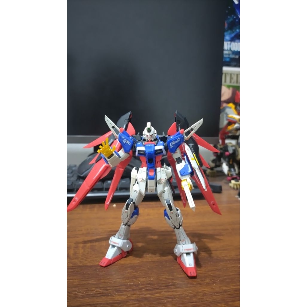 Rg Destiny Bandai junk