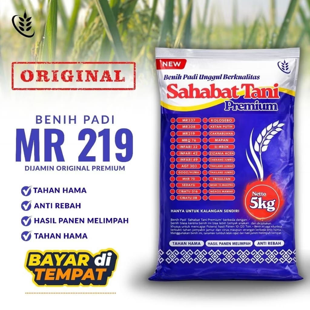 Benih Bibit Padi Unggul MR 219 Kemasan 5Kg Original Premium Jumbo