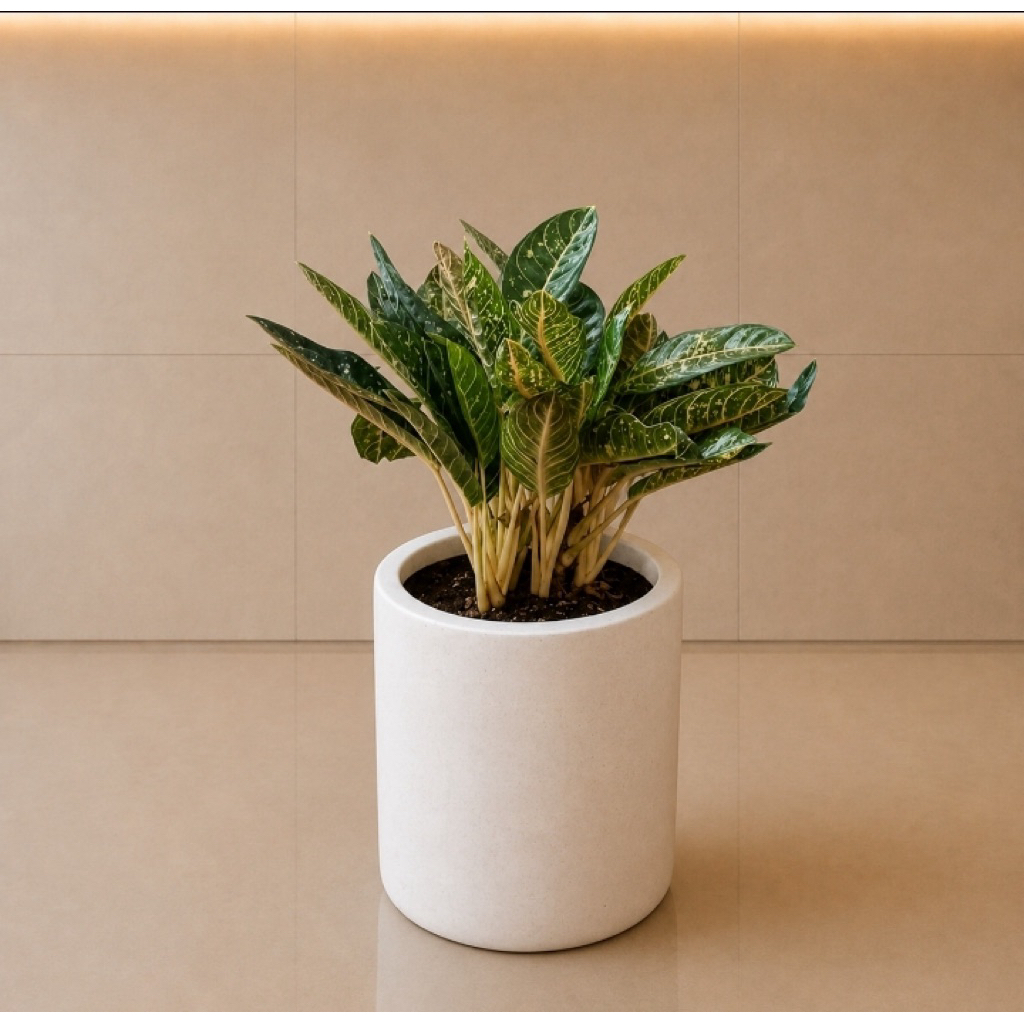 Pot Teraso Terrazzo Tipe Silinder (Tabung) Mini Estetik