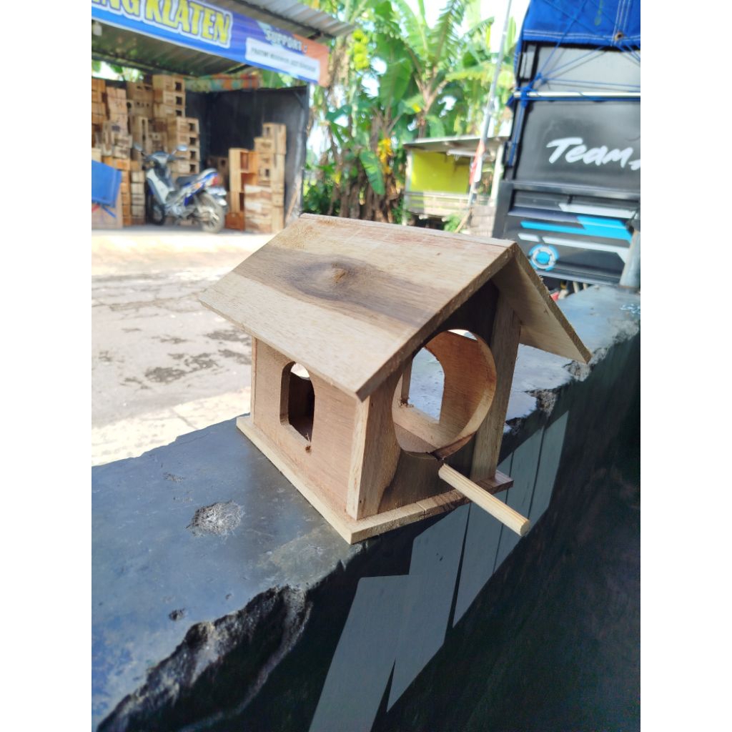 GLODOK BURUNG PARKIT LOVEBIRD RUMAH BURUNG GLODOK AVIARI