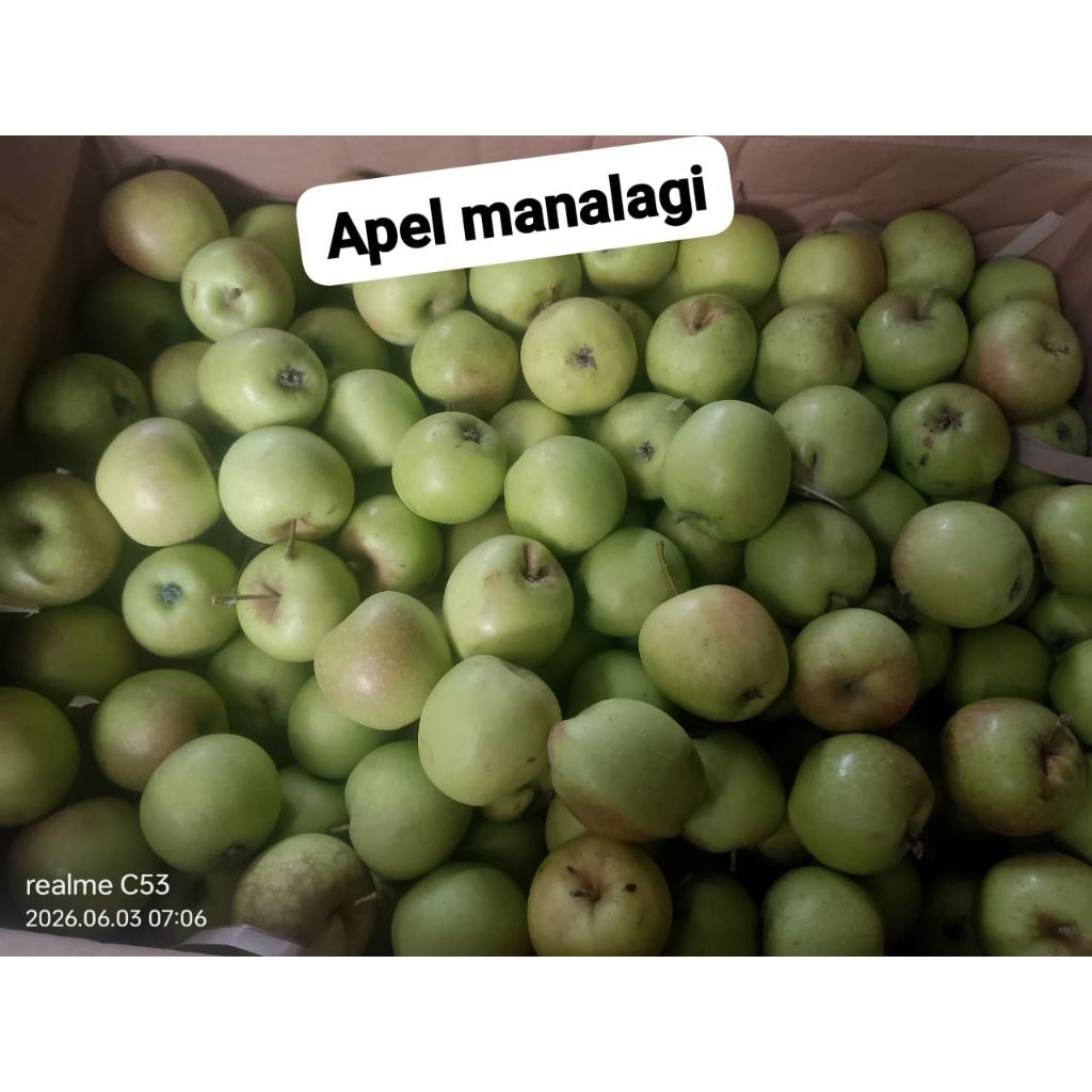 APEL MANALAGI / APEL HIJAU / Apel malang 1KG