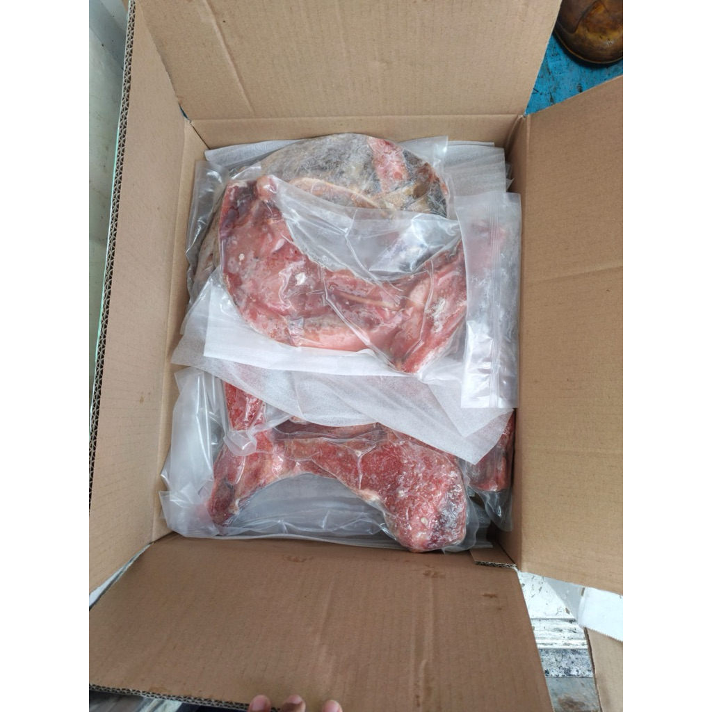 RAHANG TUNA FROZEN 1KG