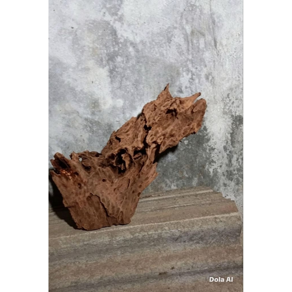 kayu rentek size XL kualitas super